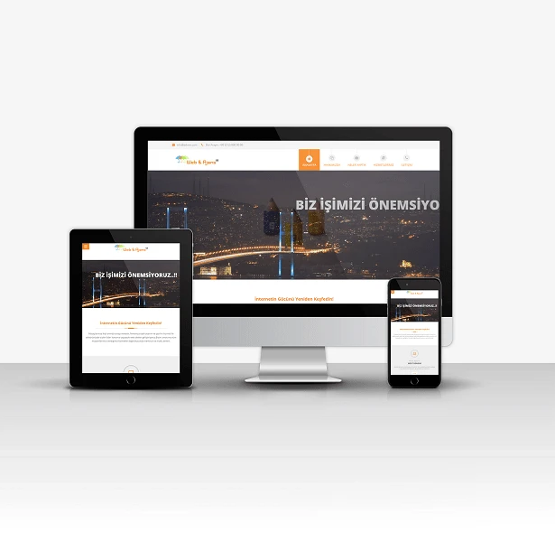 Web Tasarım & Ajans V1 ait görsel